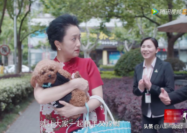 李明启个人资料，李明启个人资料简介（5个“恶婆婆”专业户演员）