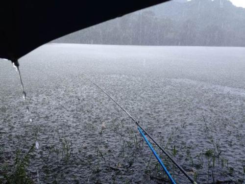 下雨天钓鱼好不好钓，下雨天钓鱼好不好钓路亚（都说雨天好钓鱼）