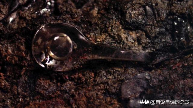 铜祖是什么东西，铜祖是什么东西图片（这座古墓似是跨越了几千年的时空）