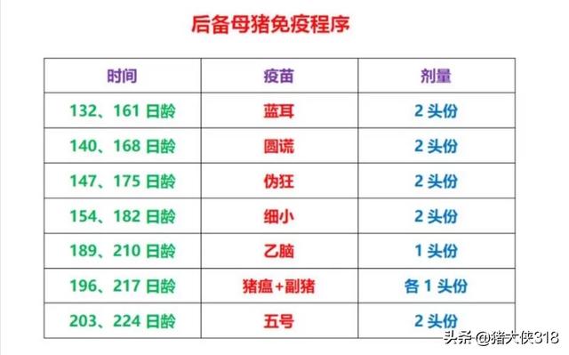 最新猪疫苗时间表，猪疫苗免疫时间大全