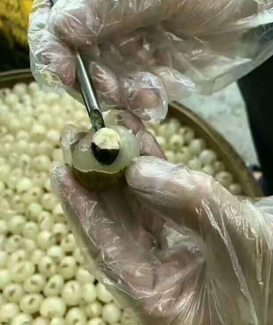 桂圆怎么存放，桂圆怎么存放时间久一点（教你2种好方法）