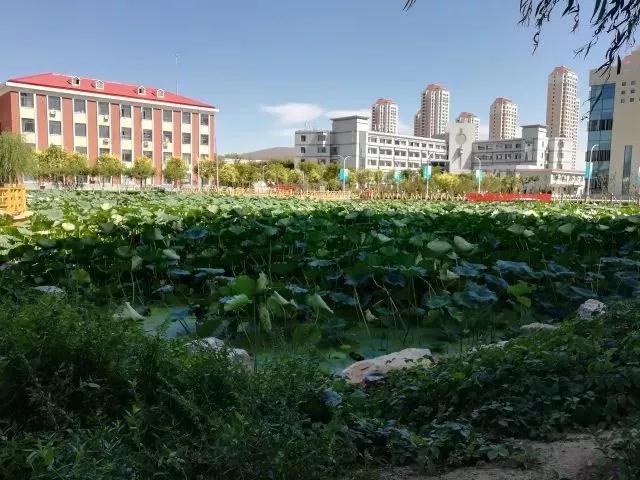 天津农学院是几本，天津农业学院是几本的（天津市普通高等院校）