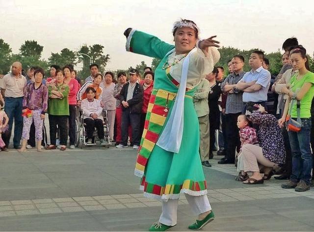 荷兰的国花是什么花，荷兰的国花是什么（荷兰的国花是什么花,也被称为什么）