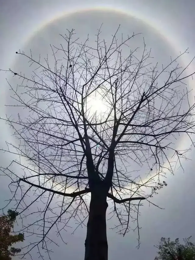 月晕是什么意思，天空中出现月晕是什么意思（接下来几天会阳光灿烂么）