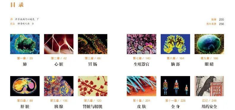 杨浦大桥的简单介绍，简单粗暴，这是一篇福利文