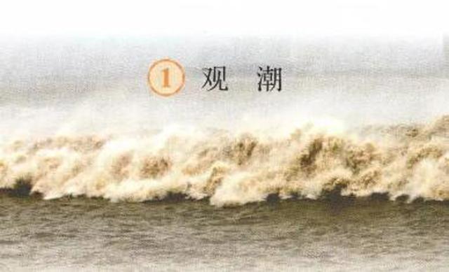教你如何领会《观潮》课文中的生字