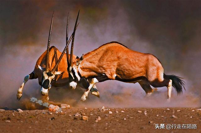 最危险的海滩，最危险的海滩在哪里（全球最危险的海岸）