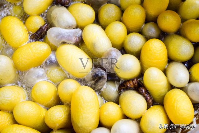 务加偏旁组新字，奂加偏旁组新字并组词（3500个常用字归类通解之一夂）