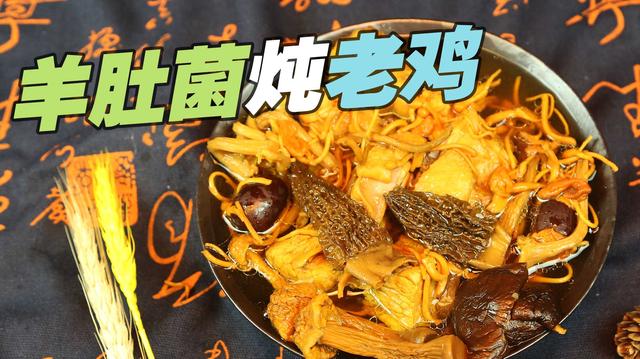 羊肚蘑怎么做法，羊肚菌炖这个