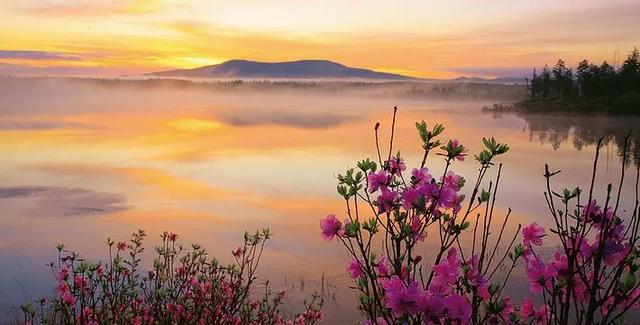 阿尔山的姑娘歌词，姑娘美如花是什么歌（乌兰图雅《阿尔山的姑娘》）