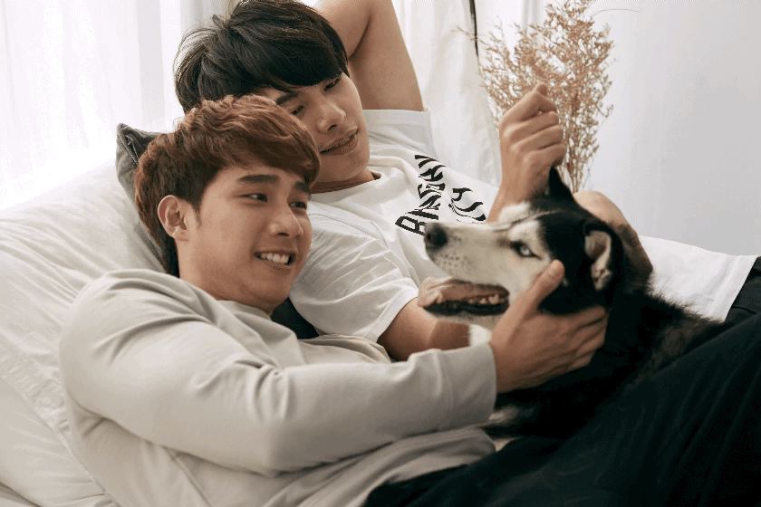 840_560gif 动态图 动图