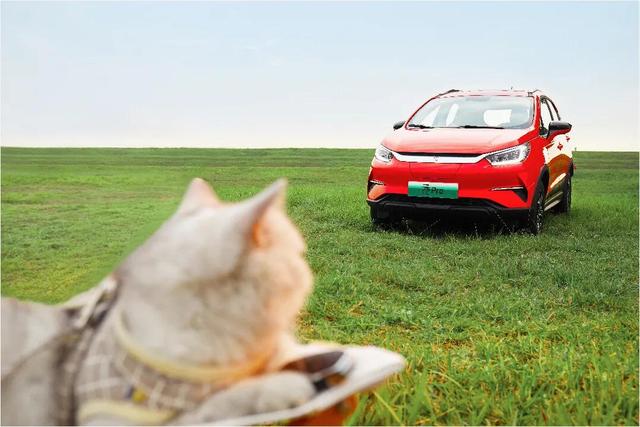 中国元素头像 古风闺蜜春游头像微信，中国元素头像 古风闺蜜春游头像（元Pro保驾护航）