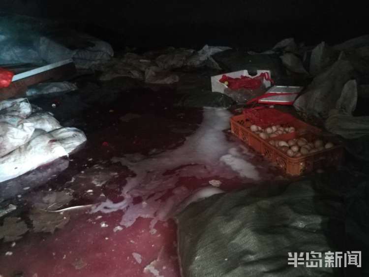 被貂咬有死亡案例吗（惨不忍睹）