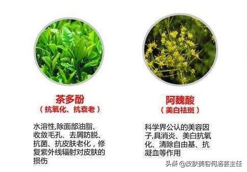 抗氧化化妆品成分有哪些，护肤品中有抗氧化能力的成分