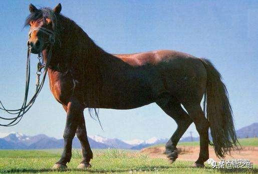 大西北是哪里，哪些地方属于大西北（在大西北有一个赛江南的地方叫张掖）