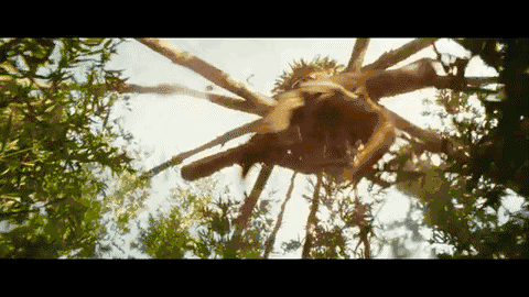 蜈蚣是昆虫吗为什么，蜈蚣属于昆虫吗为什么（如果地球上氧气含量突然增加一倍）