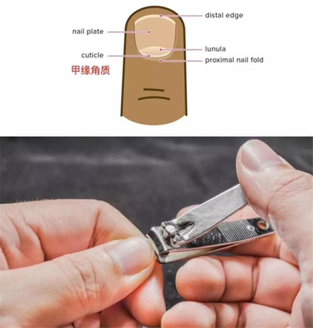 [手控腹肌控］［优质男头］，微信头像，[手控腹肌控］［优质男头］（男人除了腹肌这个部位也很性感的）