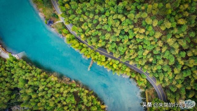 宜兴竹海和南山竹海哪个好玩，宜兴竹海好还是南山竹海好（国内竹海景区中唯一的5A）