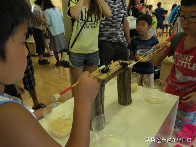 独角仙喜欢吃什么，独角仙喜欢吃什么水果（能养吗 好养吗 怎么养）