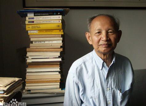 十英寸披萨有多大，十寸披萨有多大（师从华罗庚的王元在哥德巴赫猜想的研究中做出怎样的贡献）