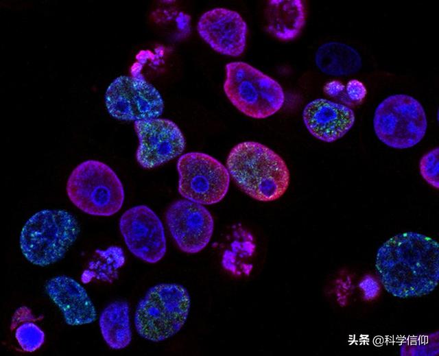 地球上的生命是怎样诞生的，地球上的生命是怎样产生的（地球生命是如何诞生的）