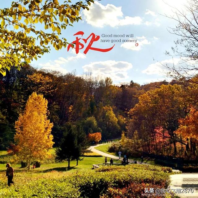 明月楼高休独倚,与中秋或月亮有关的诗有哪些(碧云天,黄叶地》) 明月楼高休独倚,与中秋或月亮有关的诗有哪些(碧云天,黄叶地》)