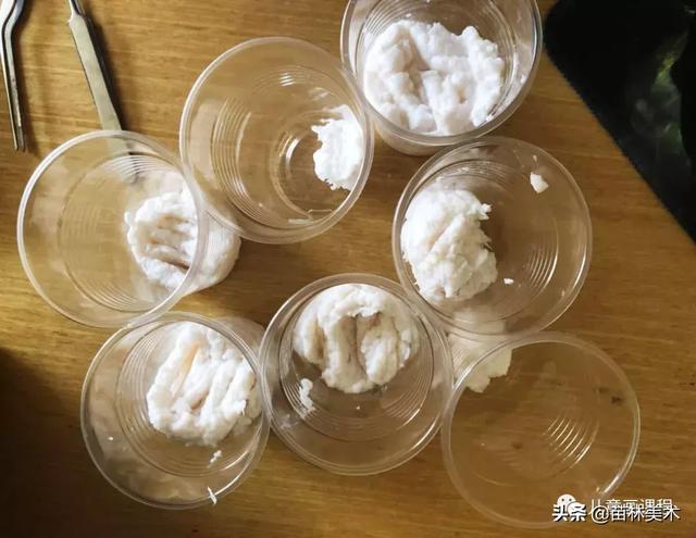 纸浆画的纸浆怎么做，纸浆画的纸浆怎么做（手作分享——爱上纸浆）