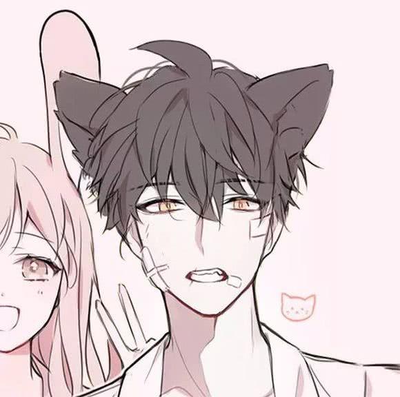 兔子情头，微信头像，兔子情头（杂图情头+男女生头像‖能够遇到你）