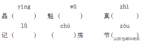 屈曲盘旋读音，小升初语文《声母、韵母和整体认读音节》训练题及答案