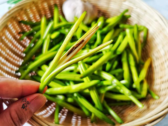 黄花菜多少钱一斤，今日盐池惠安堡黄花菜多少钱（盐池县惠安堡镇黄花供销合作社怎么样）