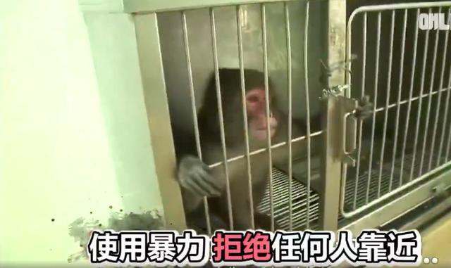 温馨的小故事，温馨的小故事哄男朋友（4个生活中暖心的故事）