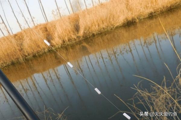 传统钓鲫鱼的方法和技巧，钓鲫鱼 技巧（还是这种钓法最好用）
