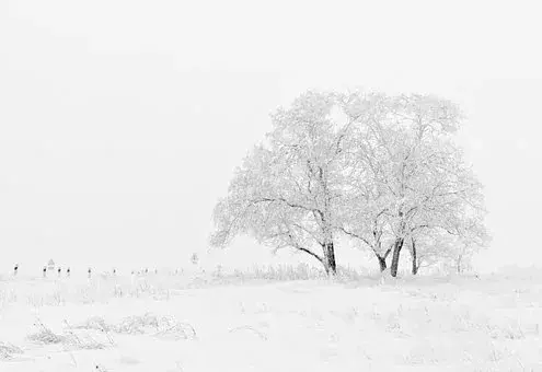 在古代可以用什么词代替雪，在古代对雪的称谓还有哪些（看看古人对雪的24种雅称）