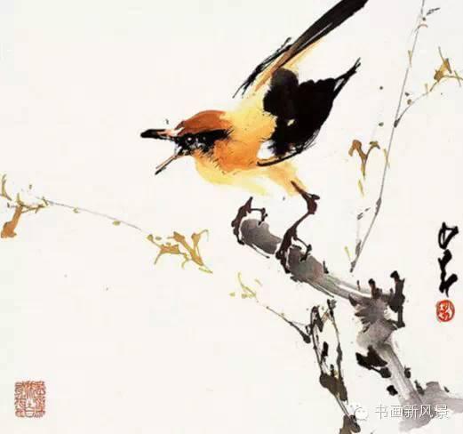 花鸟草虫大全，赵少昂花鸟草虫精选66幅