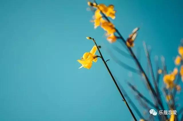 异地恋分手的征兆，异地恋分手的征兆有什么（异地恋分手，有哪些征兆）