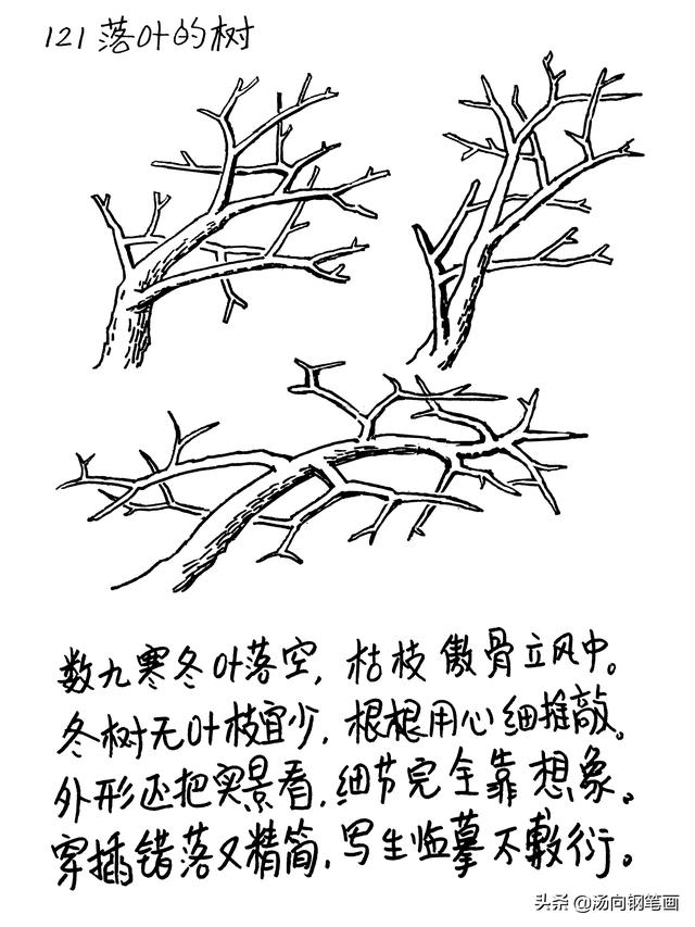 教你用钢笔画6种不同的树叶，钢笔画 树叶（钢笔画入门元素详解）