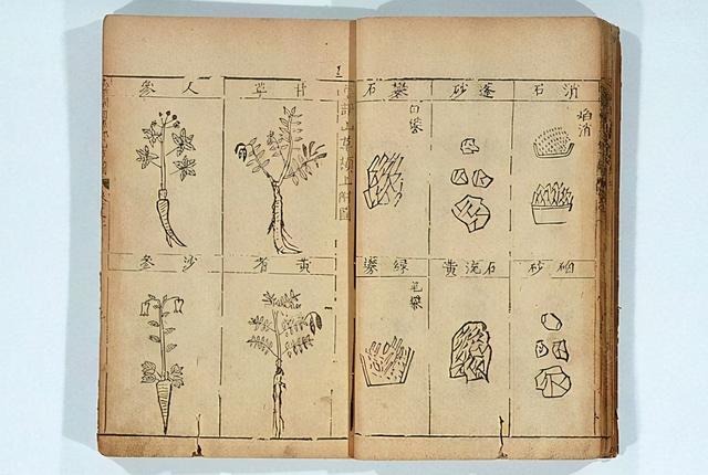 李时珍是哪个朝代的，明代李时珍：弃文从医（李时珍本是王府一名小大夫）