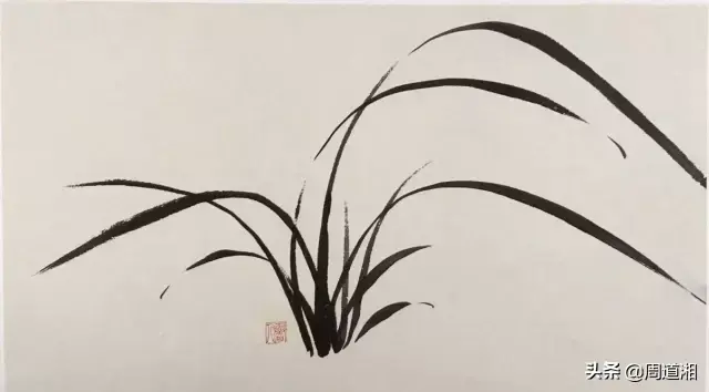 草的简笔画怎么画，猪笼草的简笔画怎么画（兰草的画法）