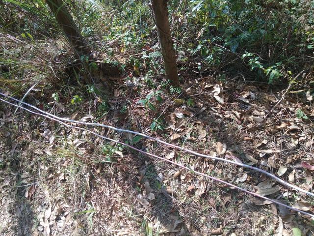 水往低处流是什么原理，水为什么往下处流（水为什么能长久向高处流）