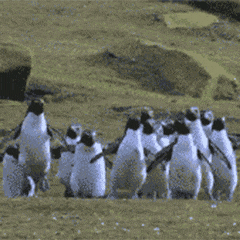 粤语常用俗语谚语，粤语俗语里面有这么多冷冷冷冷笑话