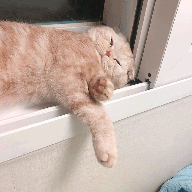 空间相册封面图片，相册图片 封面（未来很长，爱你的人，正在路上）