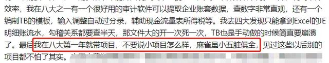 四大会计事务所是哪四个，四大会计师事务所是哪四大（又一个会计所排名刚刚发布）