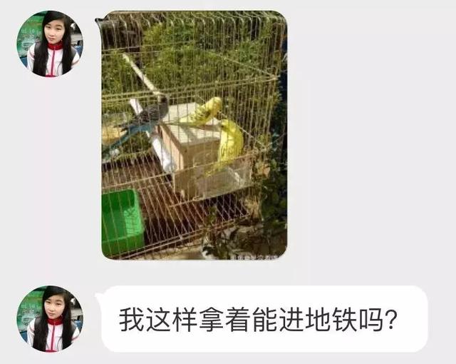 地铁上可以吃东西吗，地铁可以带吃的进去么（为什么地铁上不能吃东西）