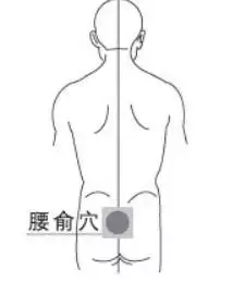 腰阳关穴位的准确位置图，腰阳关准确位置图和作用（腰俞穴：治疗腹泻）