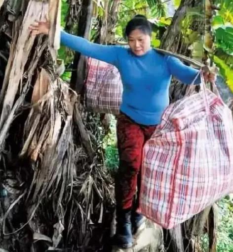 麦琼芳是什么人，麦琼芳是什么人（一名洗衣工如何培养出20位清华北大学子）