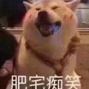 电脑qq自动回复怎么关，如何取消QQ烦人的自动回复（有哪些可爱的QQ自动回复）