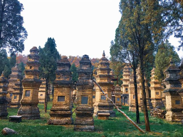 少林寺简介,少林寺在哪个市(都觉得少林寺很"坑")