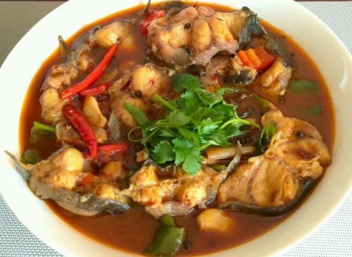 鲶鱼是什么鱼，鲶鱼吃什么鱼饵（鲶鱼都是吃“垃圾”长大的）