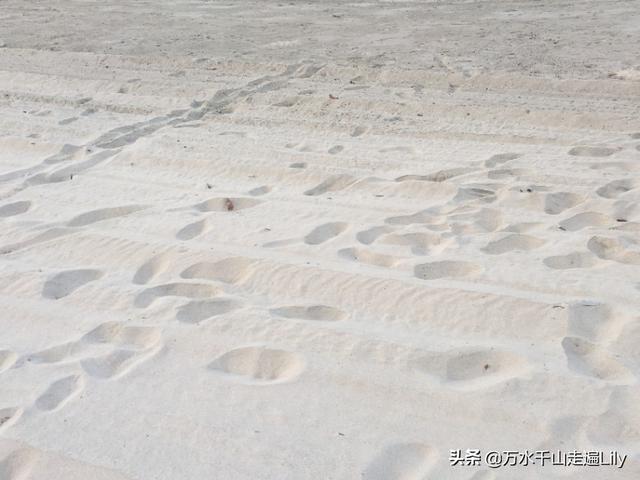 去日本旅游坐船要签证吗，去日本旅游可以坐船去吗（顺带去下印尼民丹岛超划算）