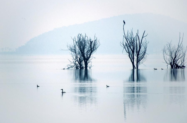 古筝名曲有哪些，古筝有什么名曲目（古筝十大名曲欣赏）